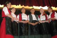 DFS-Kisbarko-Hostice-2011