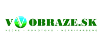 v-obraze-logo